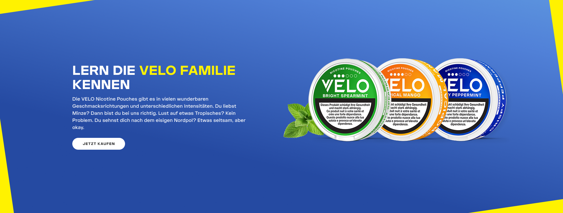 faq banner desktop new de