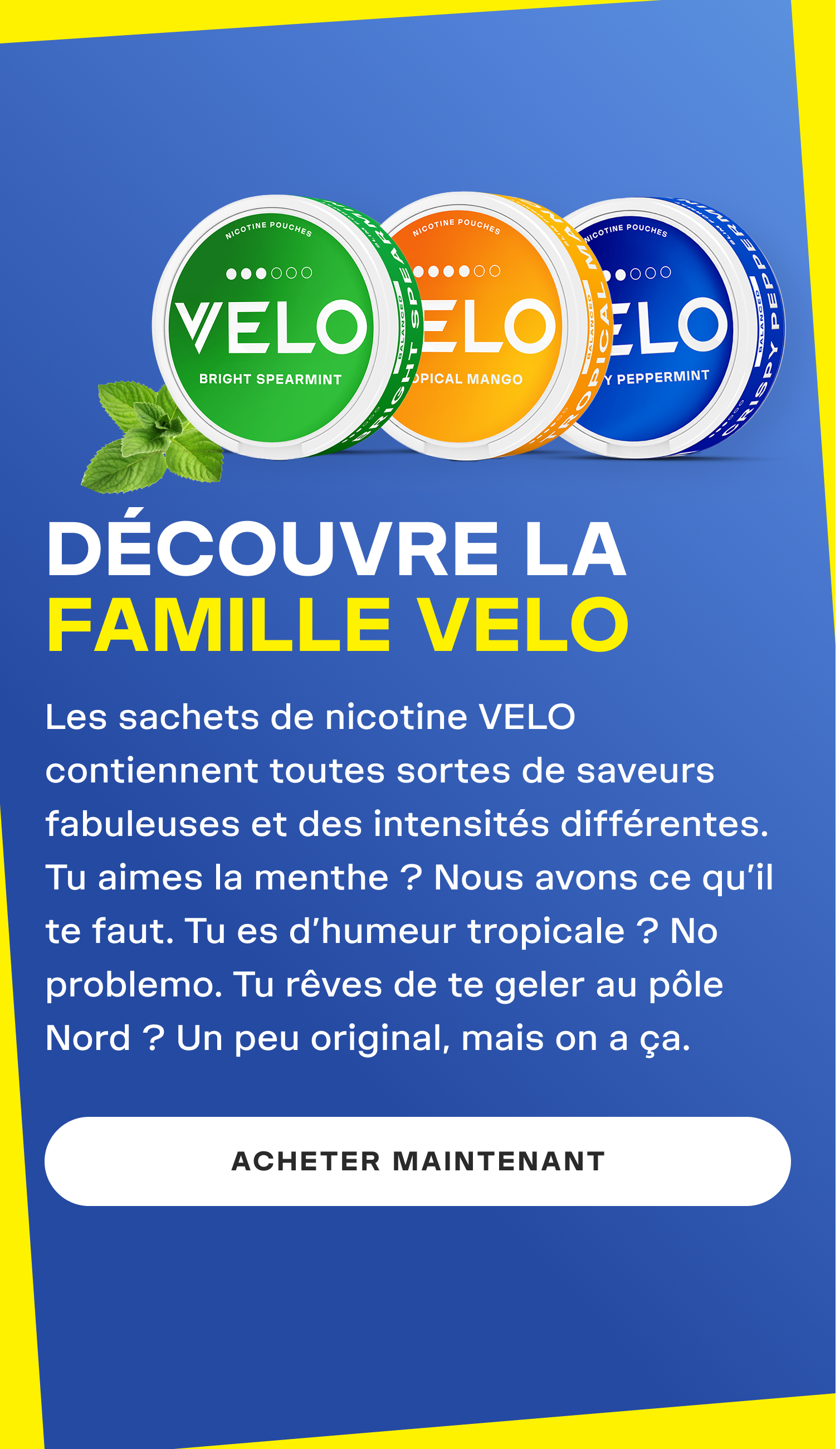 Velo